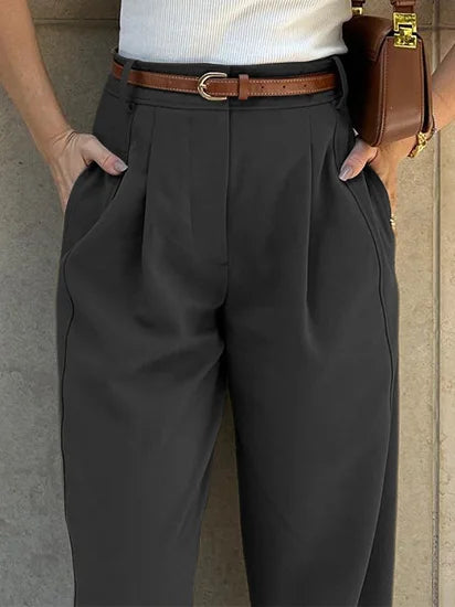 Modern Pleated Plain Carrot Pants