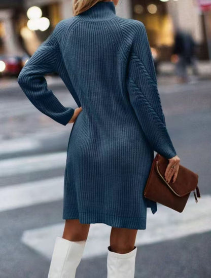 Half-high Collar Long Sleeves Sweater Dress